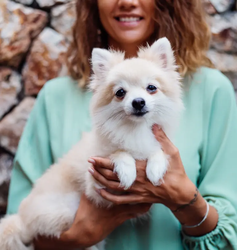 Dogs and puppies at Aubree