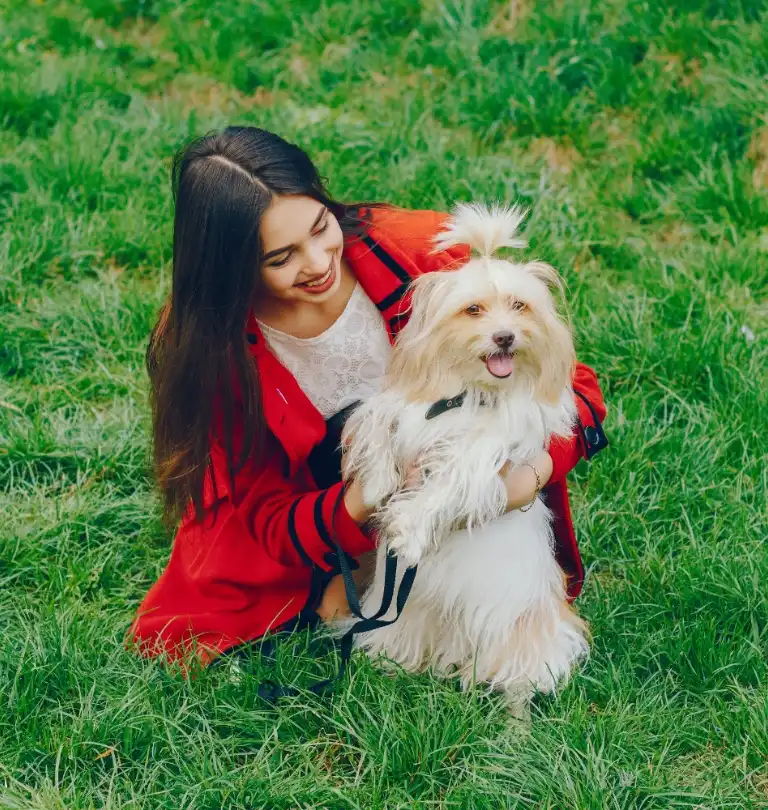 Dogs and puppies at Aubree