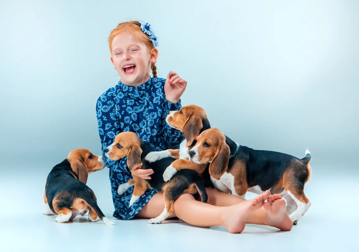 Dogs and puppies at Aubree
