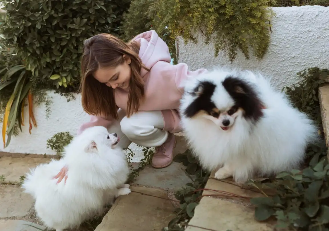 Dogs and puppies at Aubree
