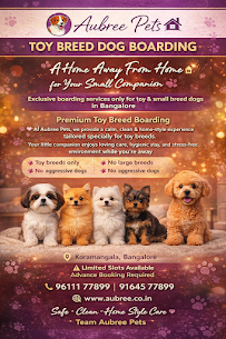 Aubree puppy photograph