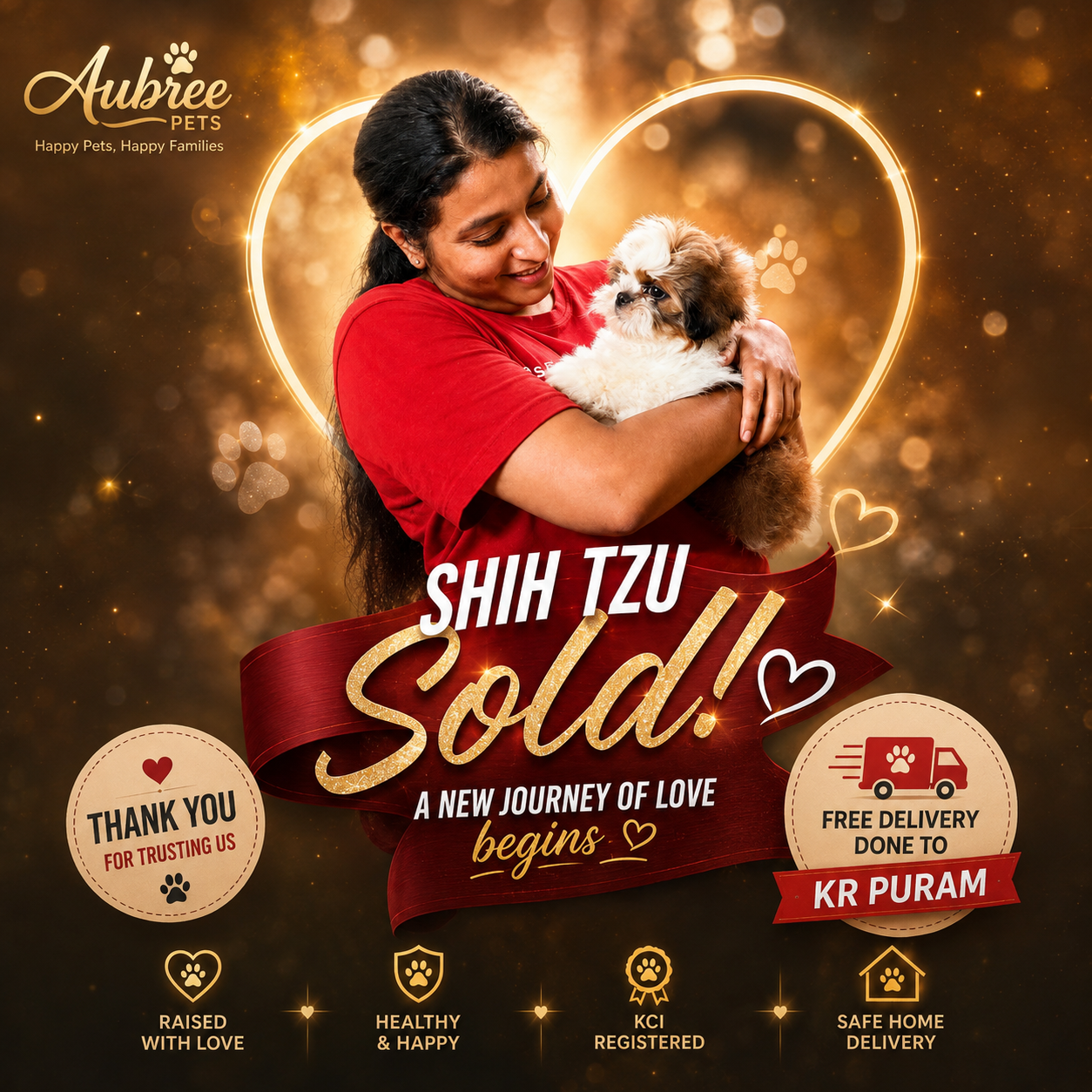 Shih Tzu Puppy Sold – KR Puram, Bangalore