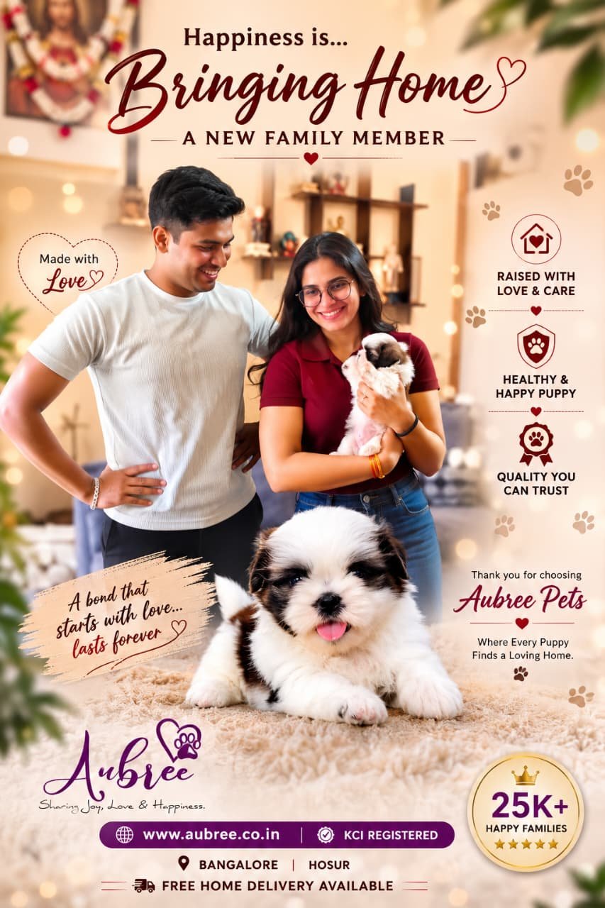 🐶 A New Family Member Goes Home – Aubree Pets Bangalore