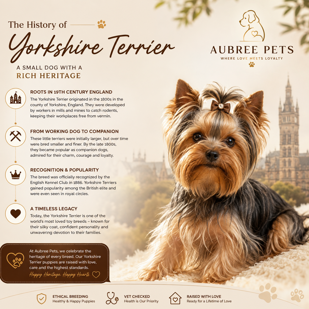 Yorkshire Terrier History