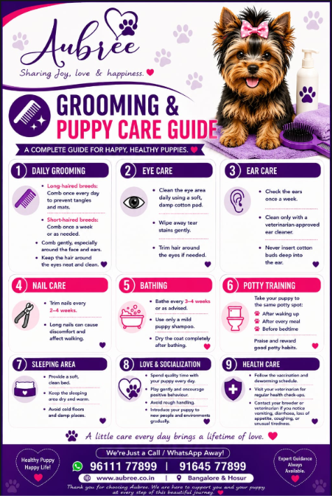 Aubree grooming and puppy care guide with nine daily care topics