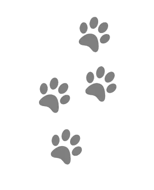 Paws - Aburee Pets